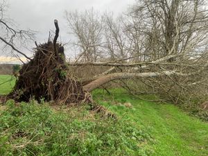 Supporting image for story: Revealed: Number of weather-related calls made to West Midlands fire operators amid Storm Darragh