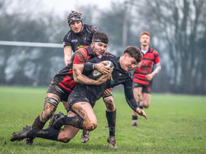 Supporting image for story: Rampant DK kick off year
with an 11-try demolition