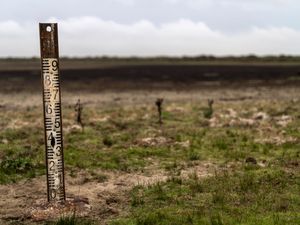 Supporting image for story: Landmark EU nature restoration plan gets green light despite farmers’ protests