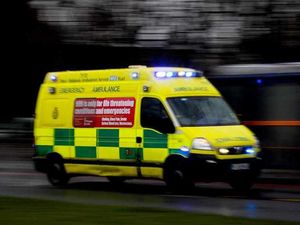 Supporting image for story: Man killed by train near Wellington railway station