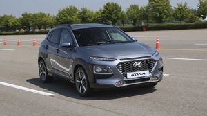 Supporting image for story