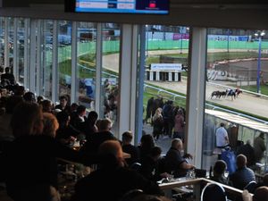 Supporting image for story: 'End of an era' as Birmingham's Perry Barr greyhound racing track prepares to close for good