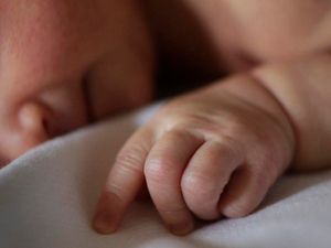 Supporting image for story: Study has ‘major implications’ for premature babies