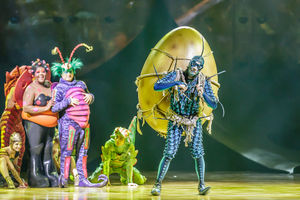 Cirque du Soleil OVO. Pictures by: Chris Bowley