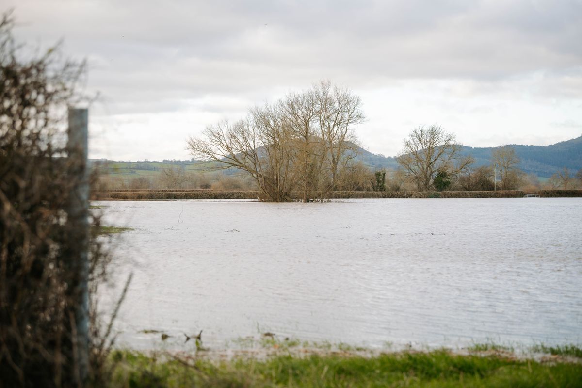 Shropshire and Powys Councils back major plan to address flooding risks