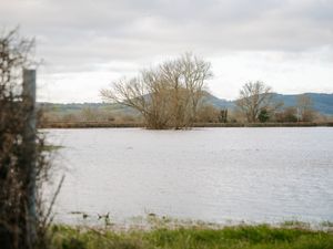 Supporting image for story: Shropshire and Powys Councils back major plan to address flooding risks