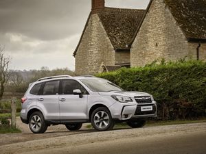 The Forest is capable of handling the rough stuff