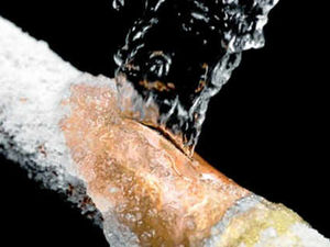 Supporting image for story: Farming Talk: Insurance risk in keeping a place empty