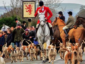 Supporting image for story: South Shropshire Hunt to continue despite controversies