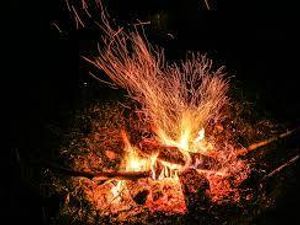 Supporting image for story: Fire brigade warns about dangers of campfires at beauty spot after blaze at Lickey Hills