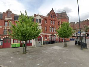 Supporting image for story: Two maple trees in Shrewsbury town centre could be removed for road changes