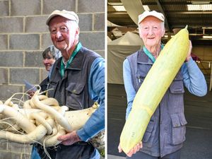 Supporting image for story: 'I’m entering 24 giant vegetables at the Malvern Autumn Show in the West Midlands - including 2.1st radish'