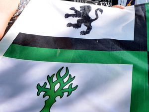 Supporting image for story: Bloxwich gets new flag to represent the town