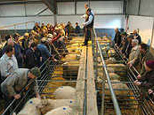 Supporting image for story: Breakfast club serves hot topics