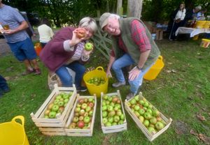 Willey Village Hall , near Broseley, and the annual Apple Press day where people can bring there apples to be turned into juice. With there own apples: Karim and Mark Hordley from Shrewsbury.