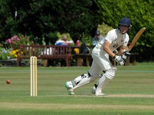 Supporting image for story: Halesowen bring in Jamie Harrison and Harry Baddams