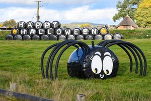 Happy Halloween from the Oswestry farm attraction. Photo: Park Hall Countryside Experience