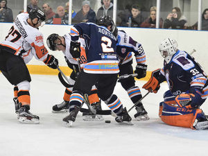 Supporting image for story: Pictures: Telford Tigers go down at home