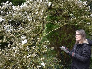 Supporting image for story: Welsh Marches garden attraction appoints new artist in residence