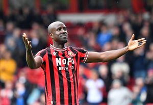 Albert Adomah celebrates his goal off the bench.