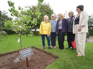 Supporting image for story: Newport street remembers five residents who died during lockdown