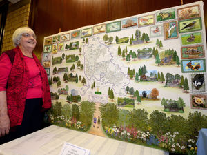 Supporting image for story: Intricate embroidery of Cannock Chase nearly complete after four years
