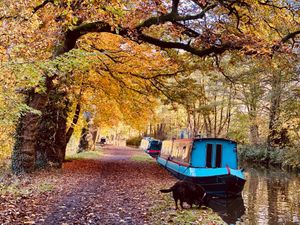 Supporting image for story: Autumn leaves cloak canal at Ellesmere as drier week ahead