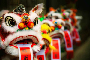 How will you be celebrating Chinese New Year?