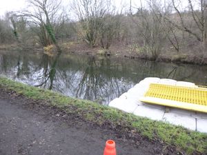 The puppies were found in a canal in Tipton
