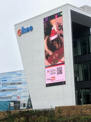 The billboard in Birmingham showing Spud. Photo: Lisa Murray-Lang/SWNS