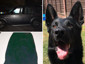 Supporting image for story: Ram-raid suspects caught hiding in canal after five break-ins in one day