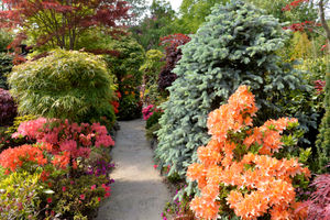 Tony and Marie Newton’s Four Seasons garden in Walsall