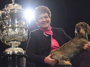Supporting image for story: Crufts 2020: Highlights from the final day at Birmingham NEC - with pictures and video
