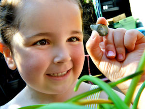 Supporting image for story: Telford youngster finds fossil in her garden