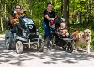 A person using an all-terrain mobility scooter alongside their family, through Wyre Forest.