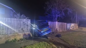 The car crashed through the nursery on its second day of opening