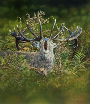 Supporting image for story: The raw sounds of nature in autumn: Artist Ben Waddams says the activity of wildlife in October is exciting to behold