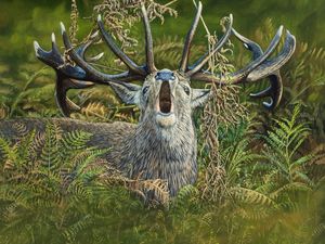 Supporting image for story: The raw sounds of nature in autumn: Artist Ben Waddams says the activity of wildlife in October is exciting to behold