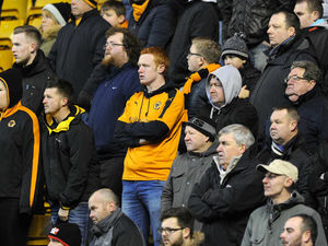 Supporting image for story: Tim Spiers comment: Why the Wolves situation is untenable