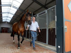 Supporting image for story: Shropshire experts sowing the seeds of success for rare breeds’ survival