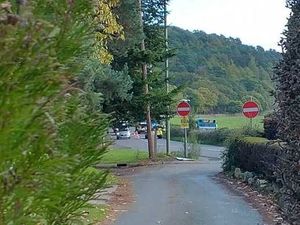 Supporting image for story: Bus company launches investigation after vehicle ends up in field