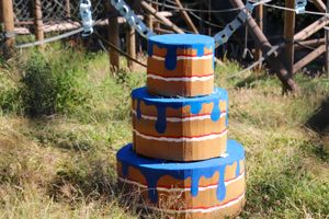 The apes' cardboard birthday cake