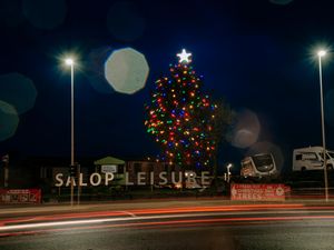 Supporting image for story: Is this the tallest Christmas tree in Shropshire?