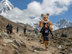 Supporting image for story: Four-leg fundraiser to hike through Shropshire in a tiger suit on mission to walk 25 marathons over 25 days