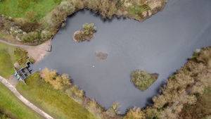 Mill Green nature reserve, Cannock 