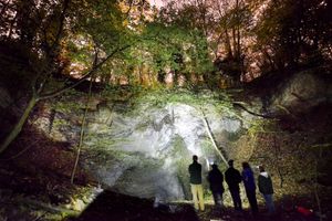 Watching out for bats at night