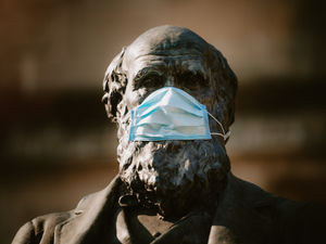 Supporting image for story: Charles Darwin festival evolves to go online amid pandemic
