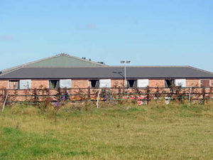 Supporting image for story: Victory for millionaire on stables