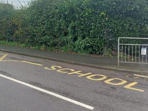 Supporting image for story: School zig-zag lines to be reviewed across county - and enforced - to stop illegal parkers
