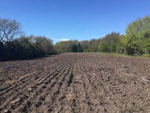 Supporting image for story: Staffordshire village gets allotments after 40 years